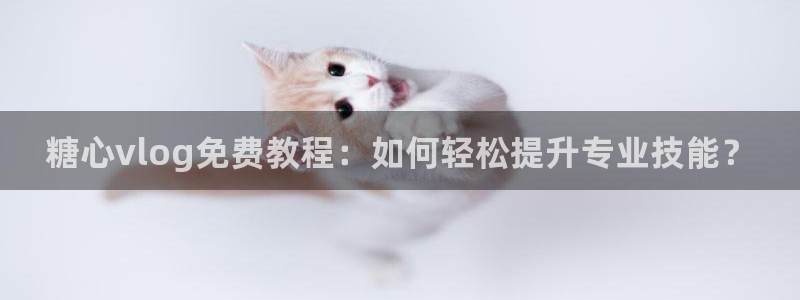 糖心vlog舒怡：糖心vlog免费教程：