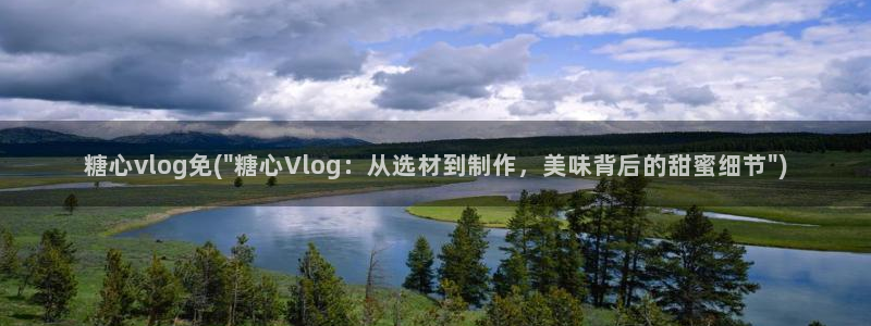 糖心vlog官网快猴网：糖心vlog免(\