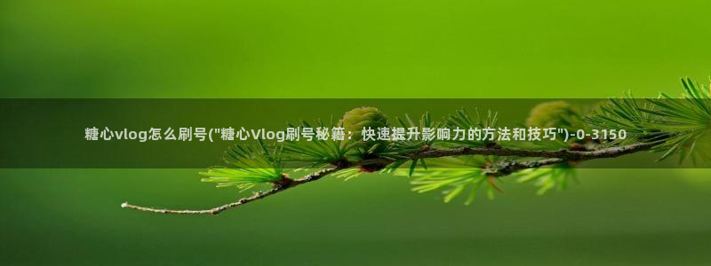 糖心vlog摄影师：糖心vlog怎么刷号