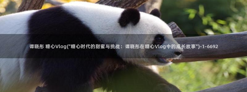 糖心vlog下载方法：谭晓彤 糖心Vlog(\