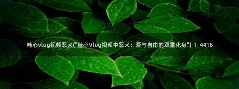 糖心vlog共享账号