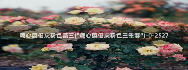 糖心vlog小晗：糖心唐伯虎粉色高三(\