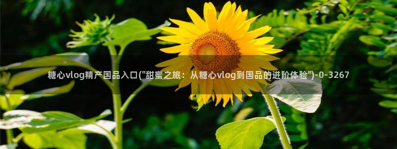 糖心vlog合法吗：糖心vlog精产国品入口(\
