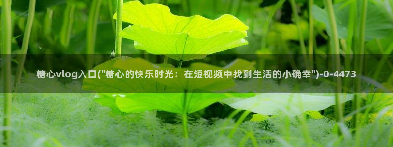 糖心vlog免费入口