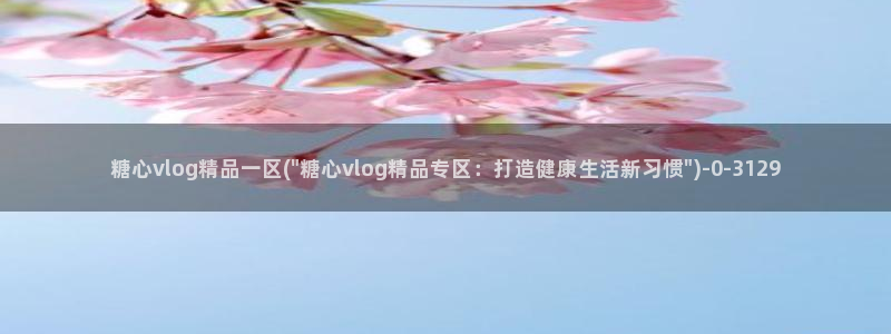 糖心vlog作品