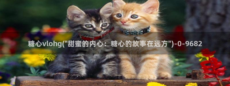 心糖vlog视频：糖心vlohg(\