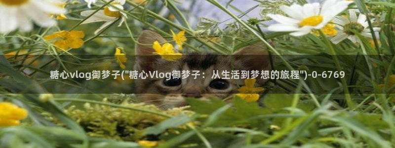 糖心原创vlog：糖心vlog御梦子(\