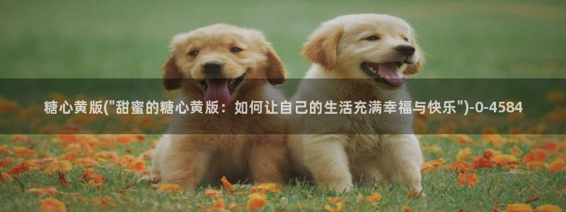 糖心vlog电影高清：糖心黄版(\