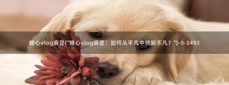 糖心vlog下载免费
