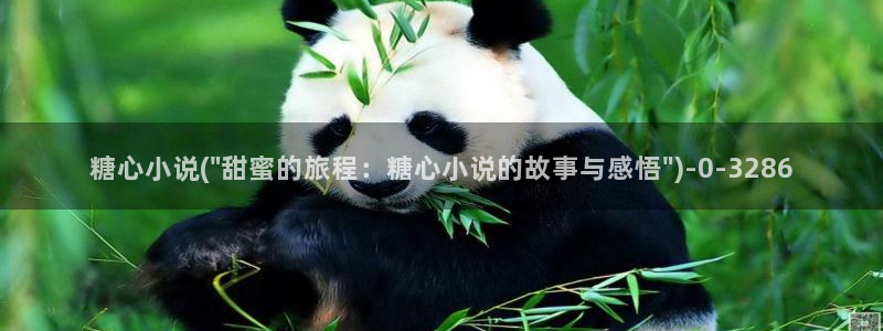 糖心传媒vlog
